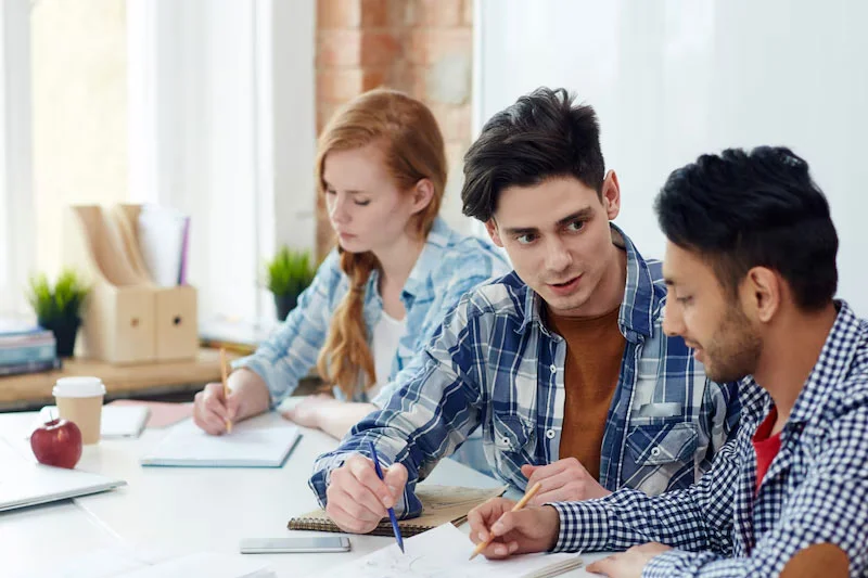 Two Students Sharing Knowledge and Collaborating in a Combined Study Session